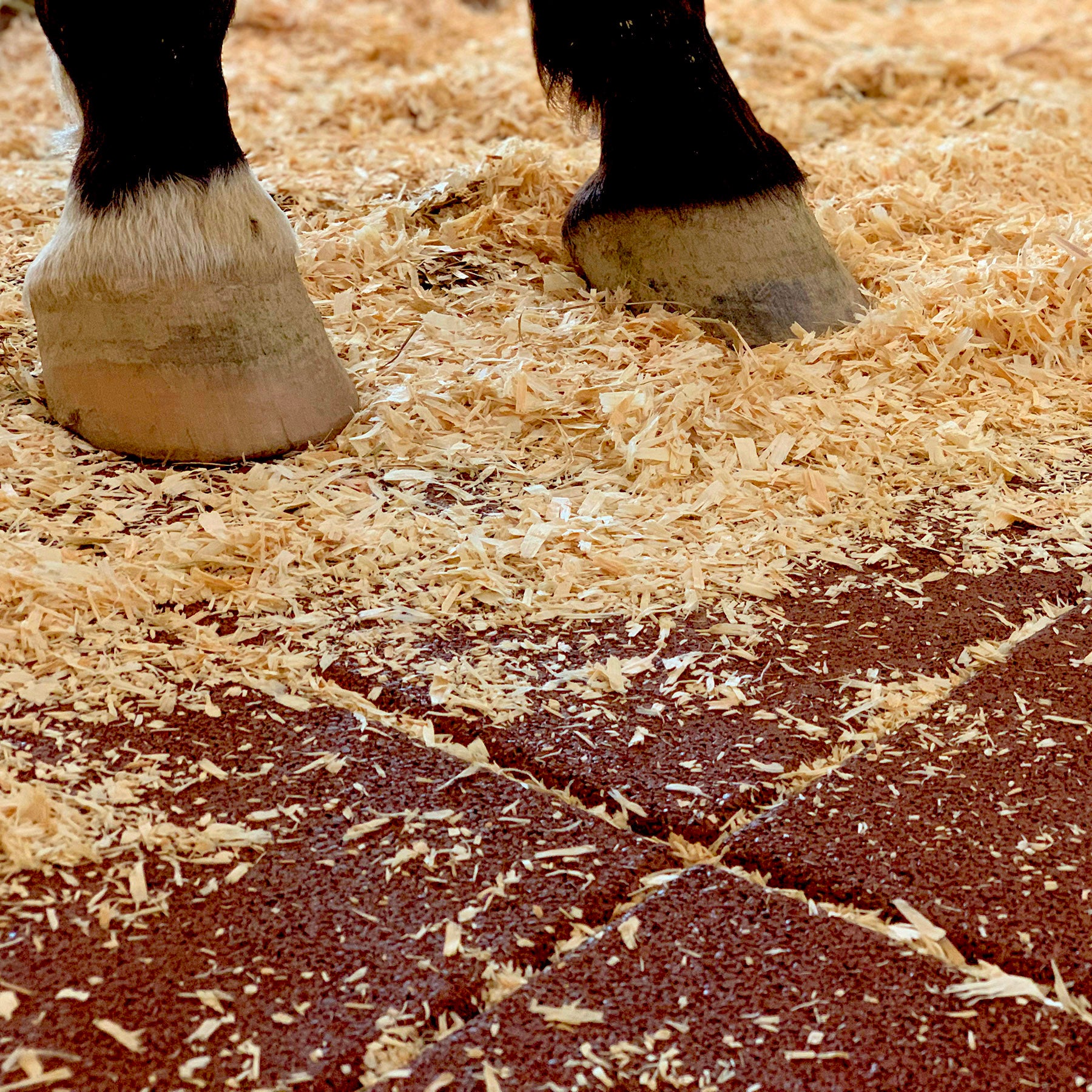 Stallmatte 100 x 100 cm