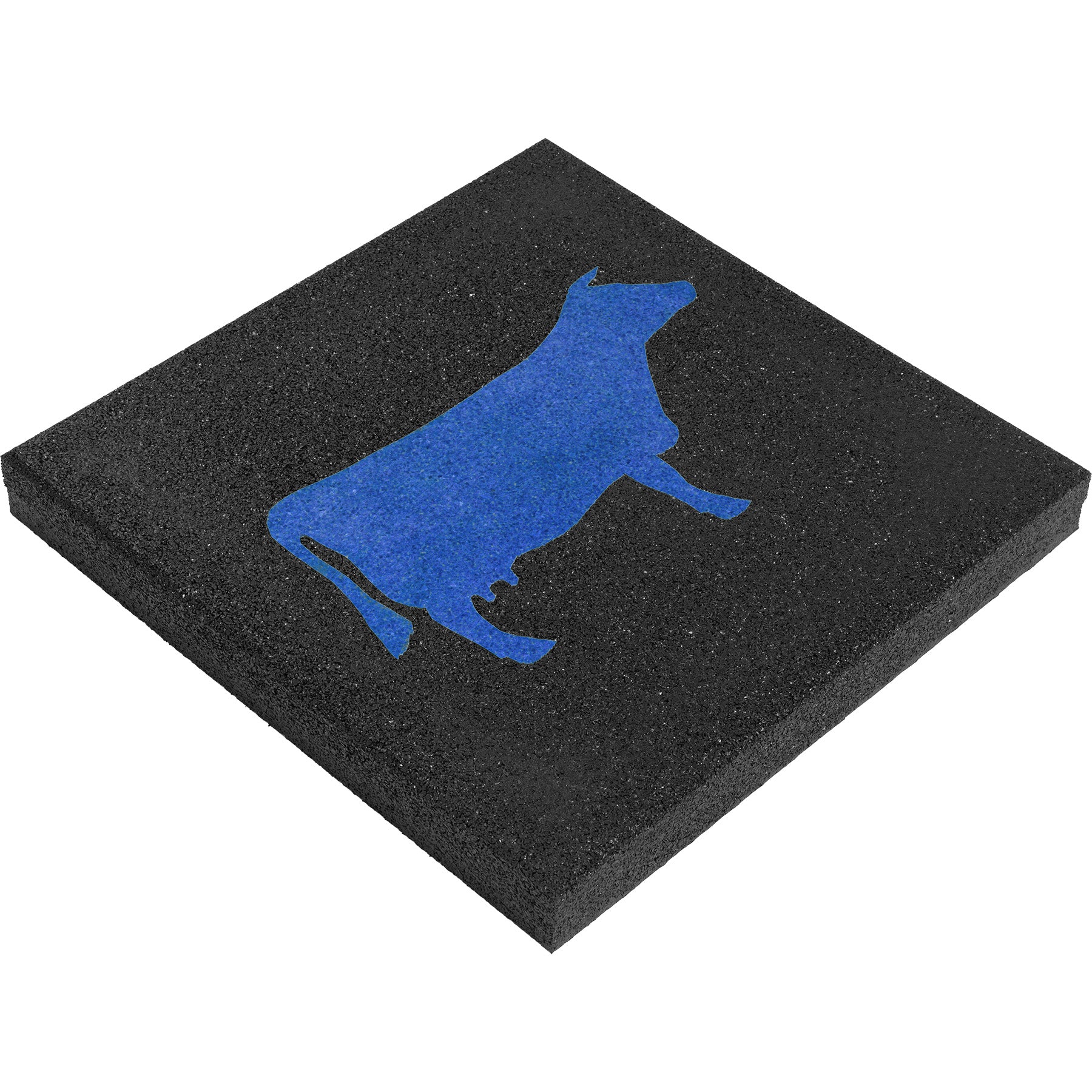 Blau-Schwarz / Kuh
